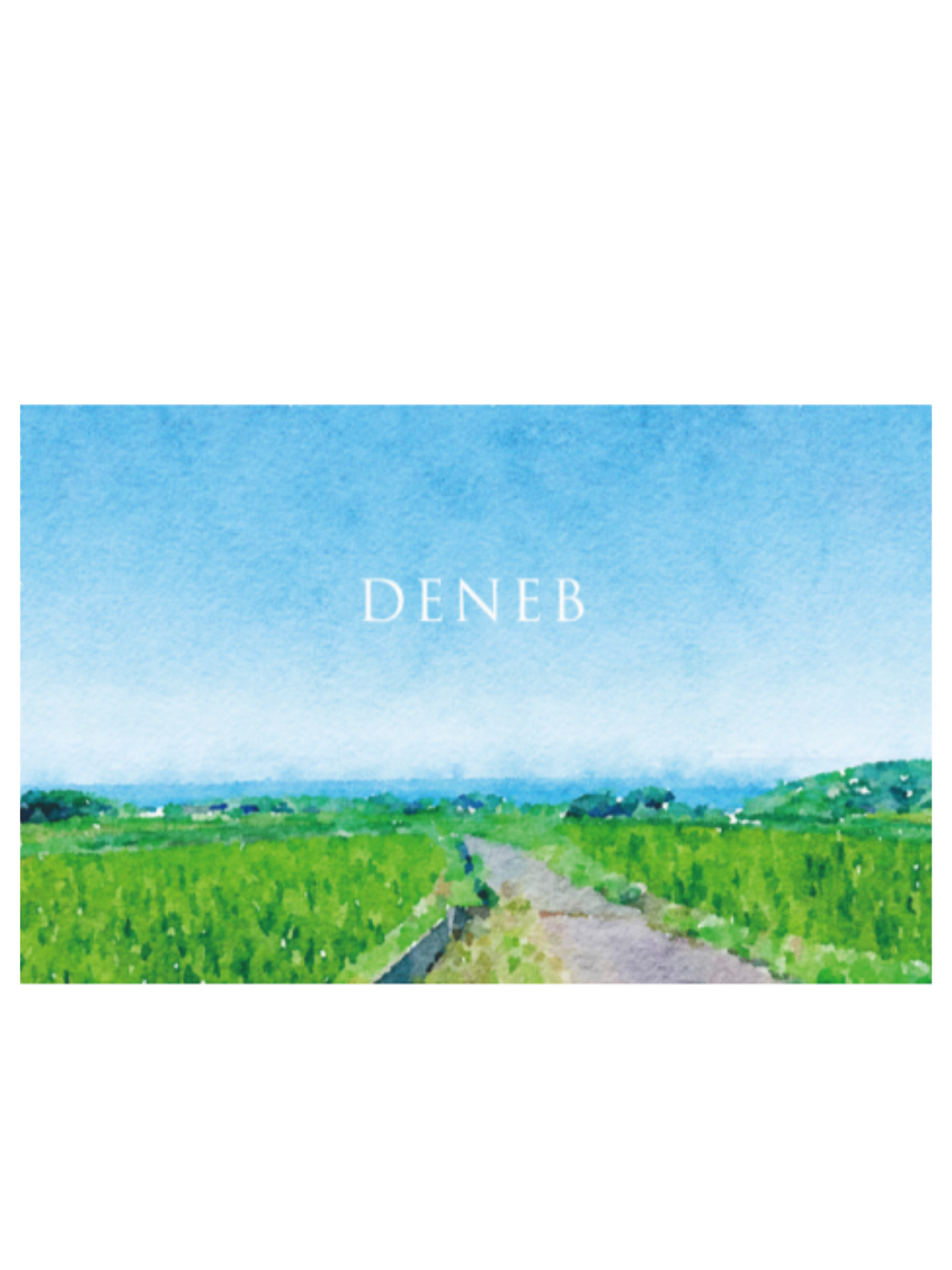 【予約受付中】 DENEB 2024 500ml 阿部酒造