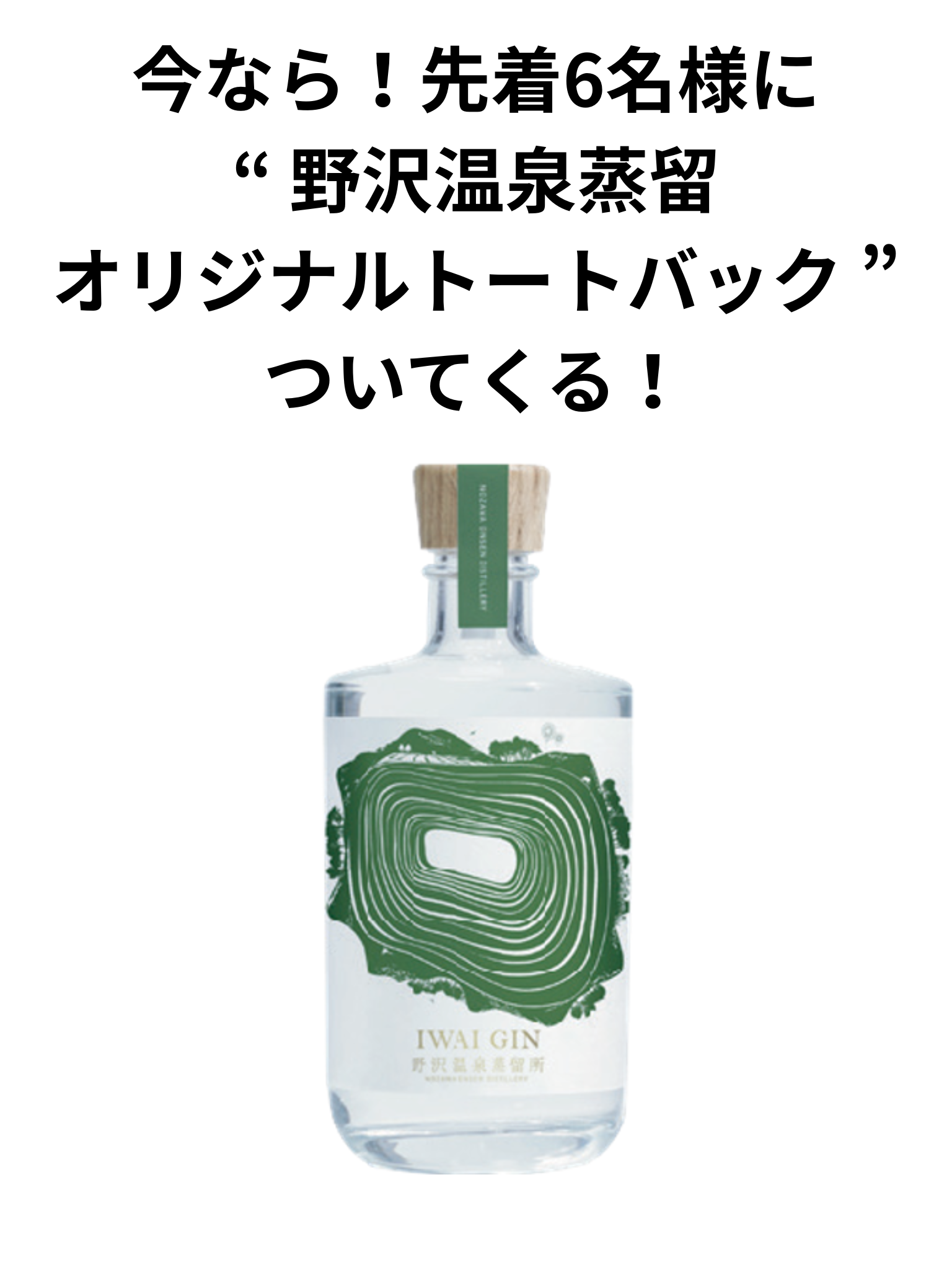イワイ ジン500ml 野沢温泉蒸溜所